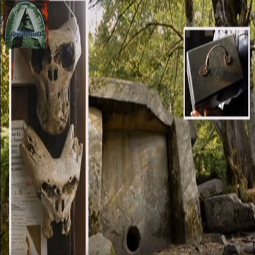 Russians find mysterious Nazi chest with strange 'alien'