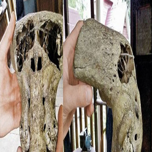 Russians find mysterious Nazi chest with strange 'alien'