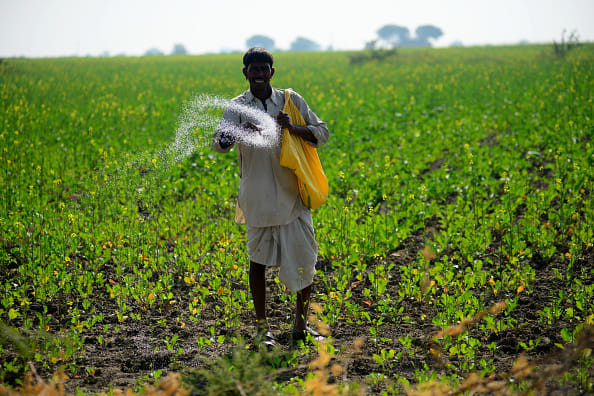 Farmers will continue to affordable fertilizer subsidies will continue