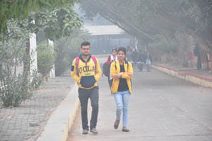 fog crisis
