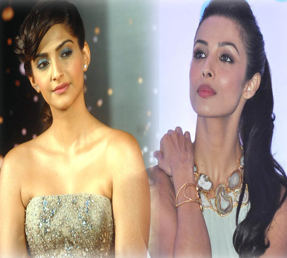 Drunk Malaika snubs Sonam Kapoor at a party