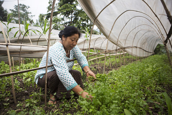 organic cultivation start in A thousand acres