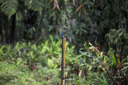 organic cultivation start in A thousand acres