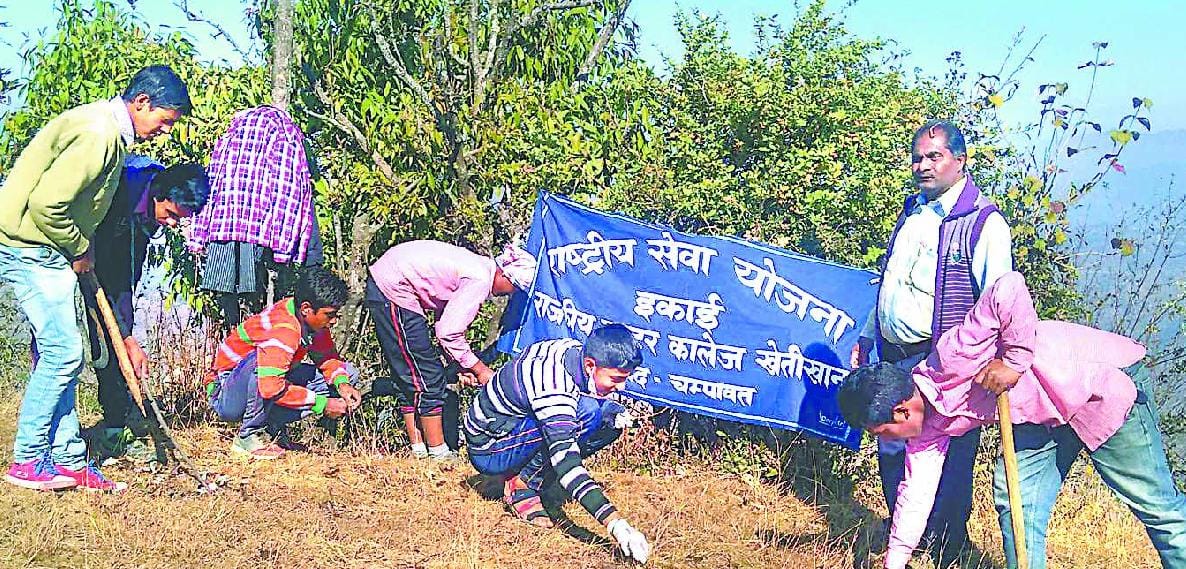 Students filled pit filled the street, the trimming of bushes