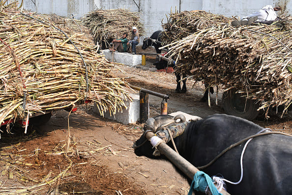 Farmers has no rights on Sugar mills profit