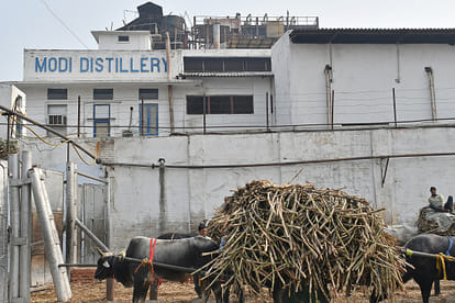 Farmers has no rights on Sugar mills profit