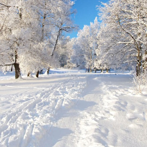 Top 5 Honeymoon Destinations of India