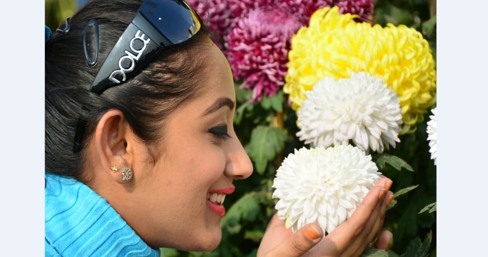 guldaudi show for three days starts in chandigarh
