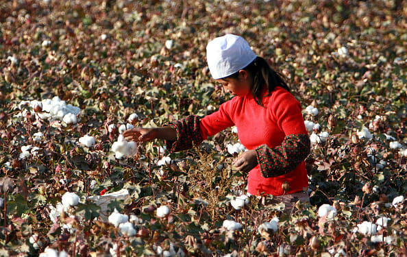 Pakistan lifts undeclared ban on Indian cotton imports