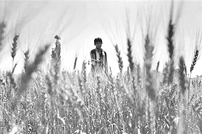florid crops major threat to fog