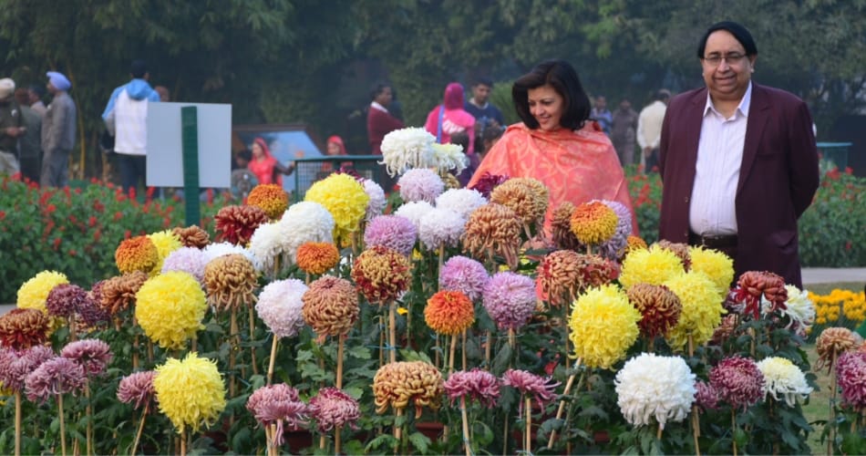 Punjab university, Guldaudi show, pu campus, chandigarh news