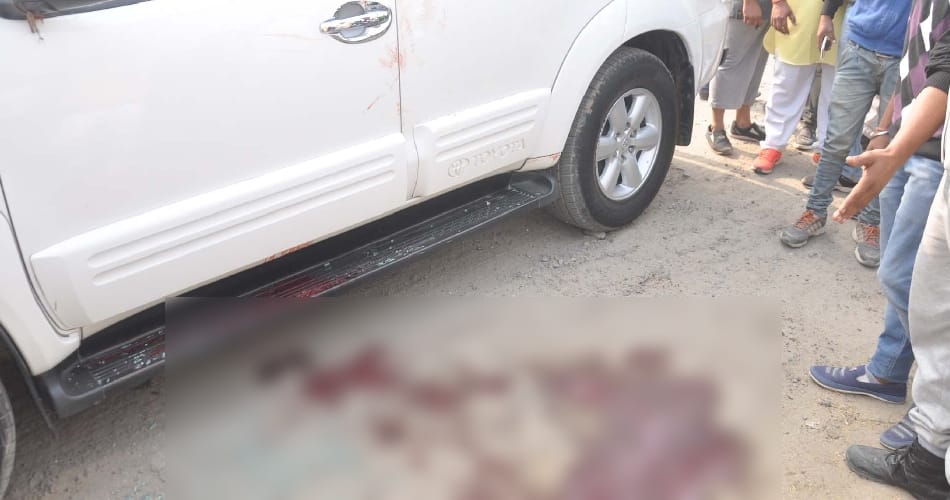 international kabaddi player killed in gangwar at karnal, talk with old parents of player