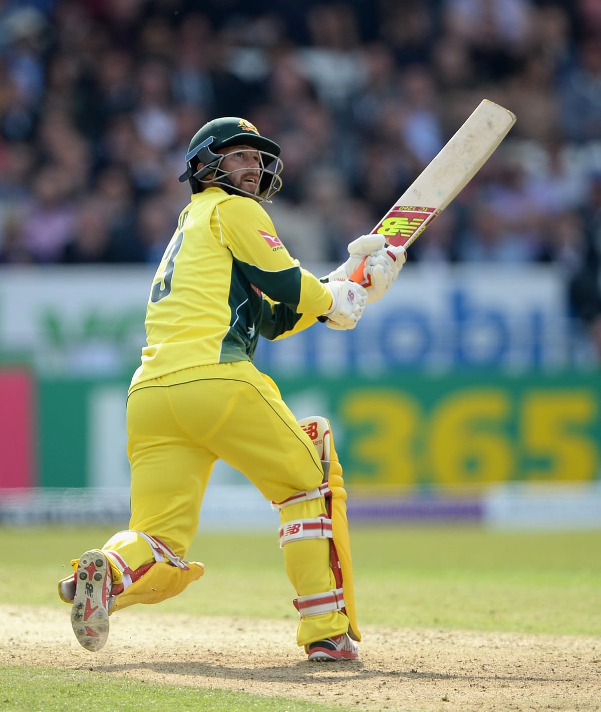 Matthew Wade out of County Championship due to injury