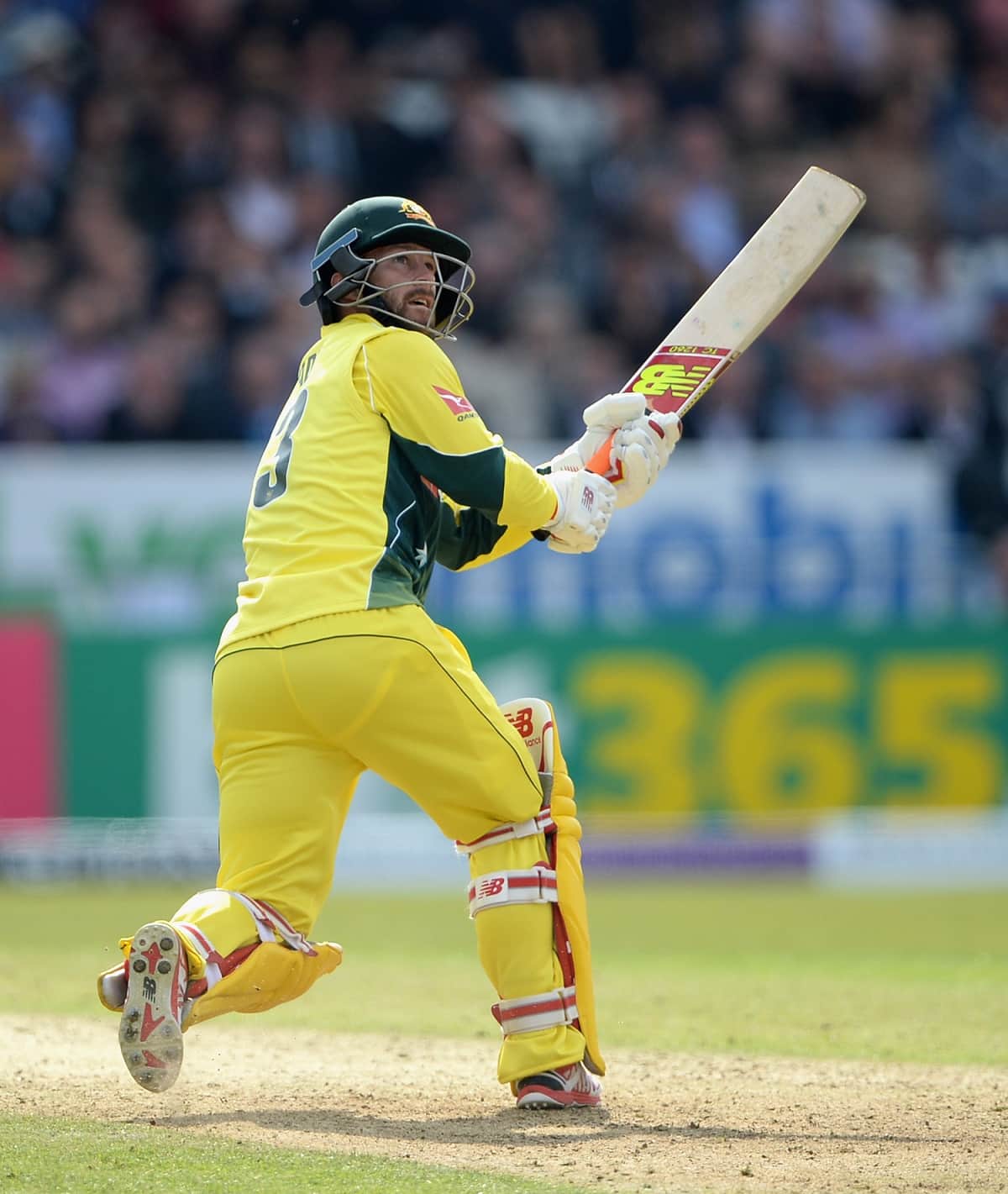 Matthew Wade survives after ball hits stumps but bails don't dislodge
