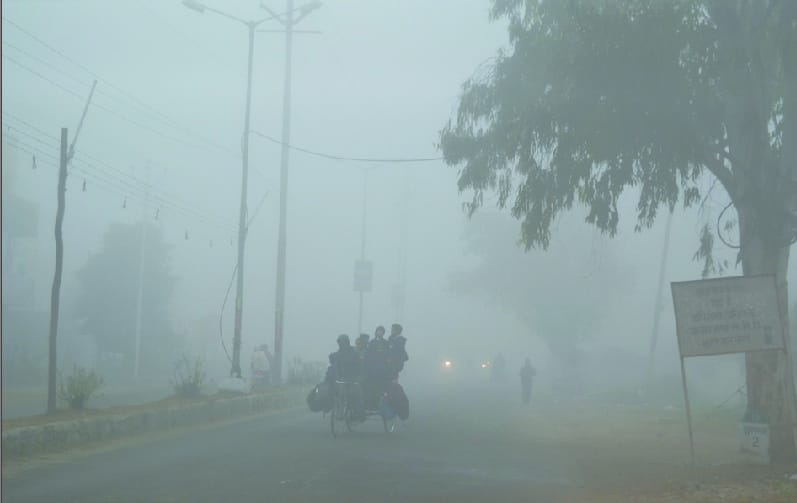 Winds affected life