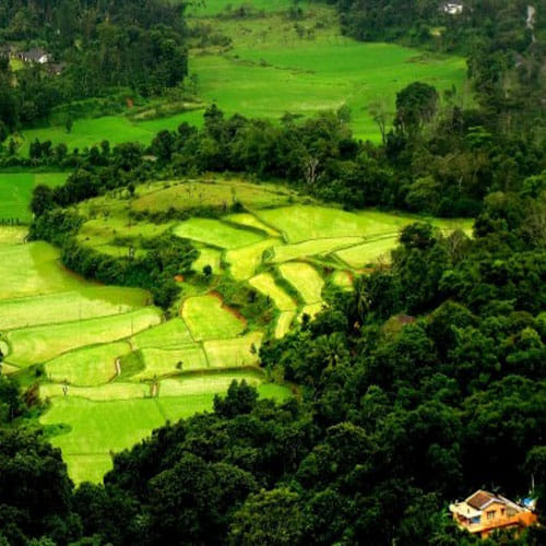 Top 5 Honeymoon Destinations of India