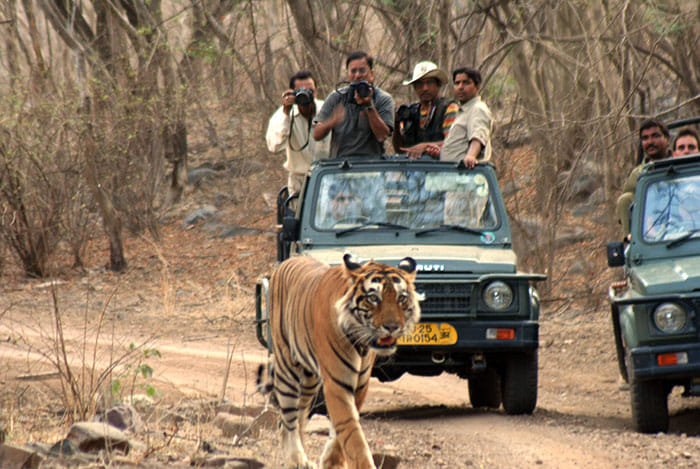 rajasthan tourism destinations in winter