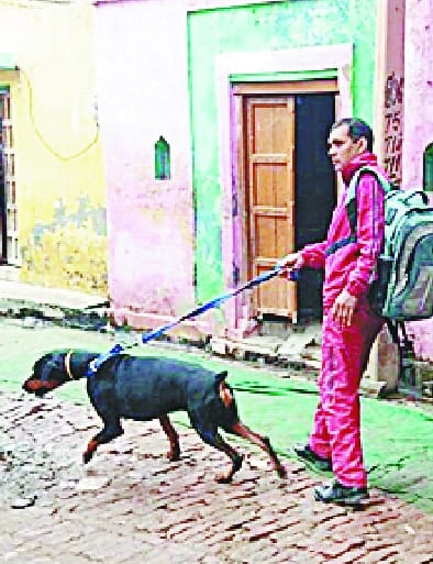 Kidnap and kill a student Duttnagr