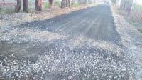 yamuna nagar, sadak,tuti