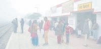 weather, cold, wind, sun rise, kaithal