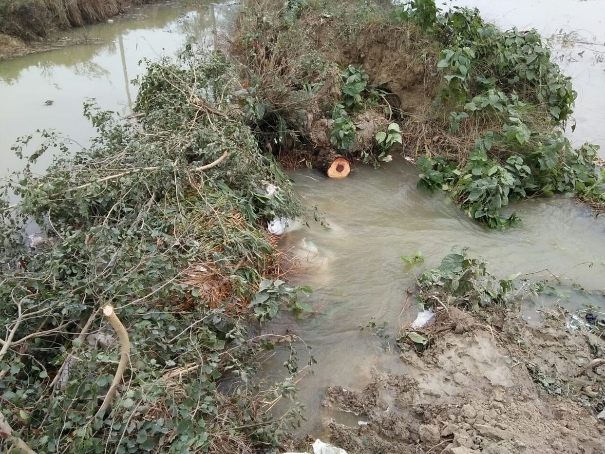 German company plans to build sanitation plan