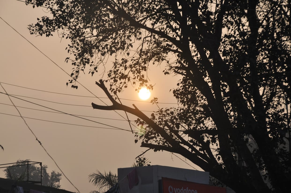 sun give some relief from winter