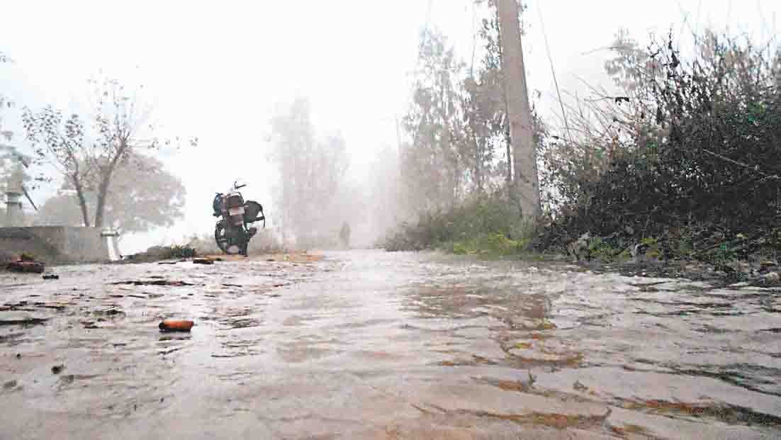 water of kalagargh dam damage crop in amroha