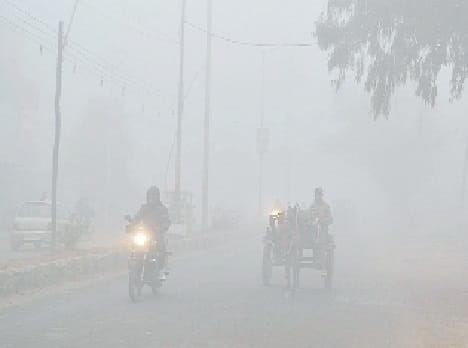 kohre ke karan janjeevan prabhavit
