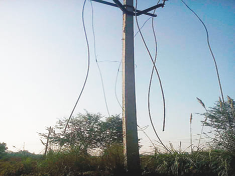 HT line took 14 poles cut wire thief