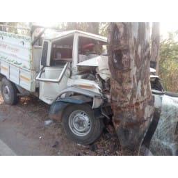 accident, accident in Jhajjar, Pickup to tree, Jhajjar
