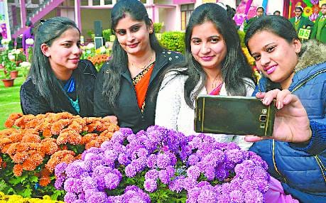 Brilliant flowers in cold Itraa