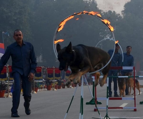 commmando perform during police week.