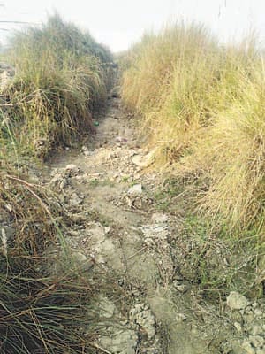 water crisis for farmer in lalganj
