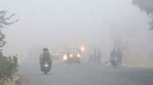 two farmed died from cold