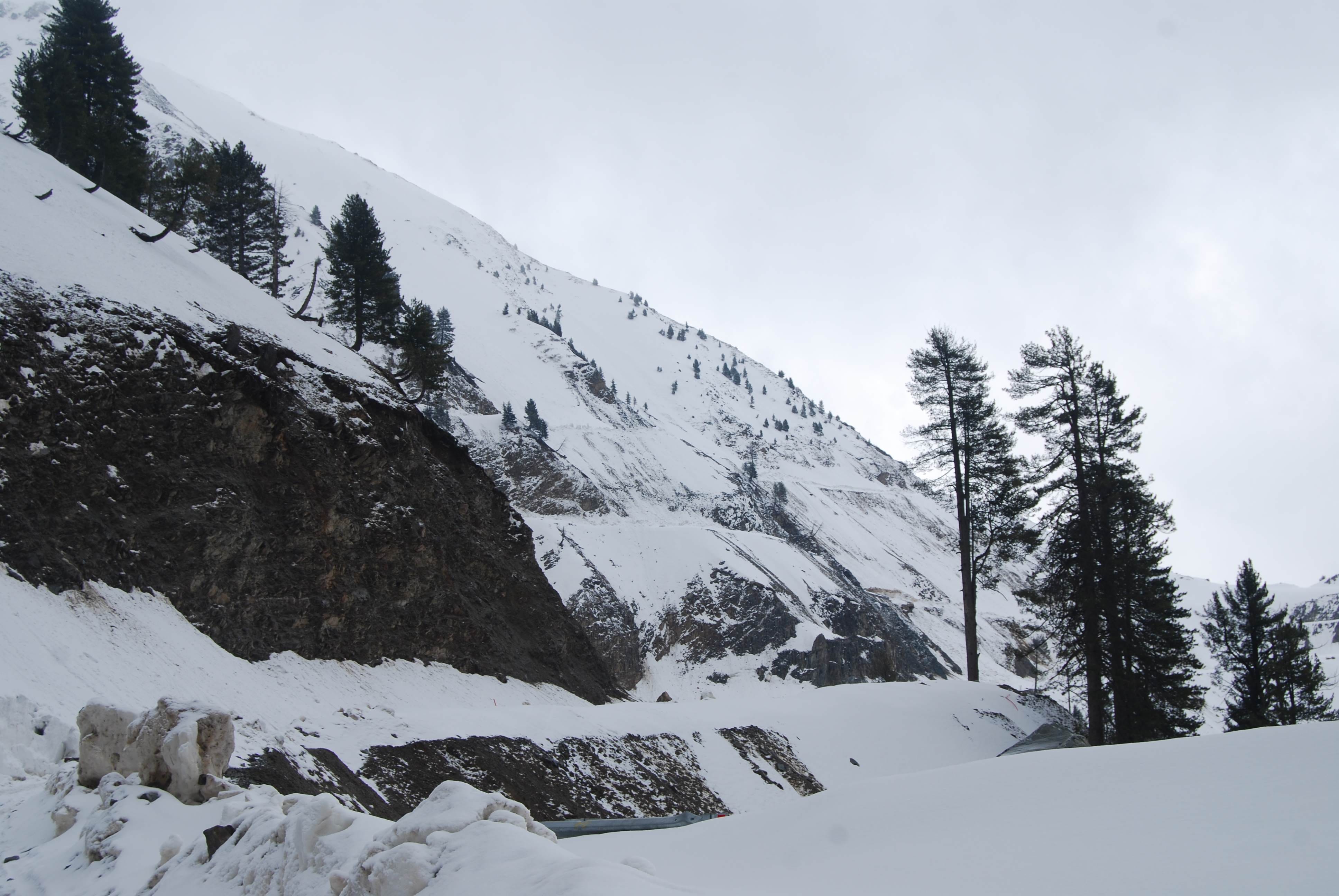 snowfall in mountains of jammu kashmir
