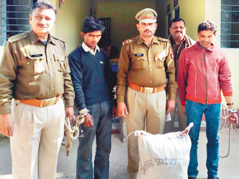 Two arrested in theft, including ringleader