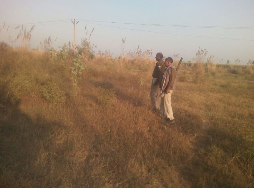 Drinking poisonous water 20 Livestock deaths