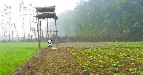 Forest Department took two and a half hours to reach four km