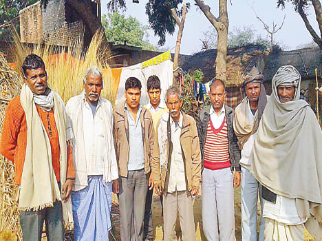 Crooks robbing cattle in thick fog