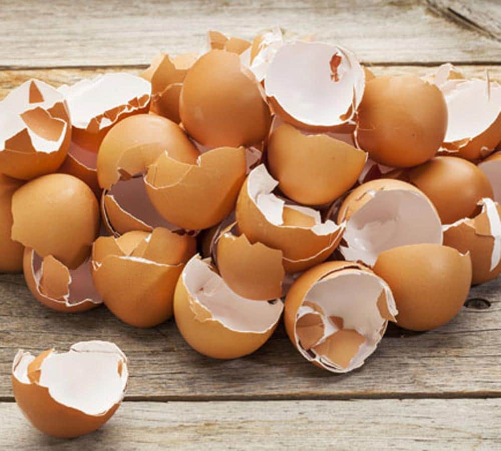 egg shell makes you beautiful