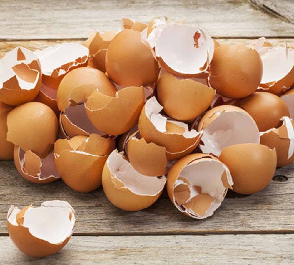 egg shell makes you beautiful