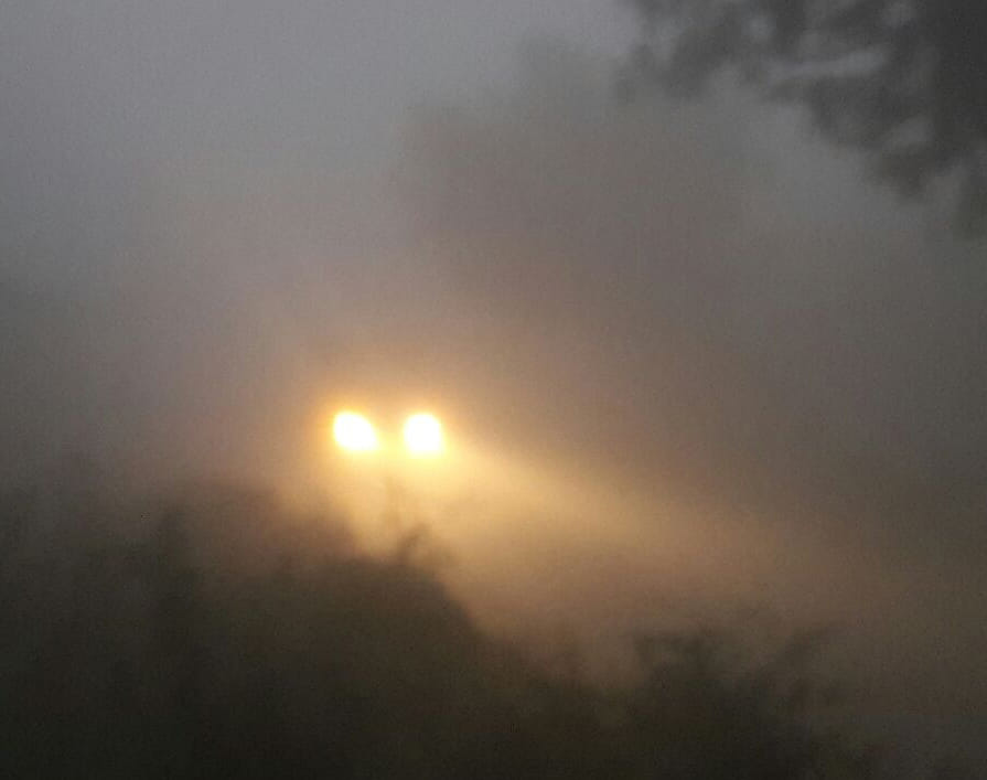 Cold and heavy fog creeping in vehicle 