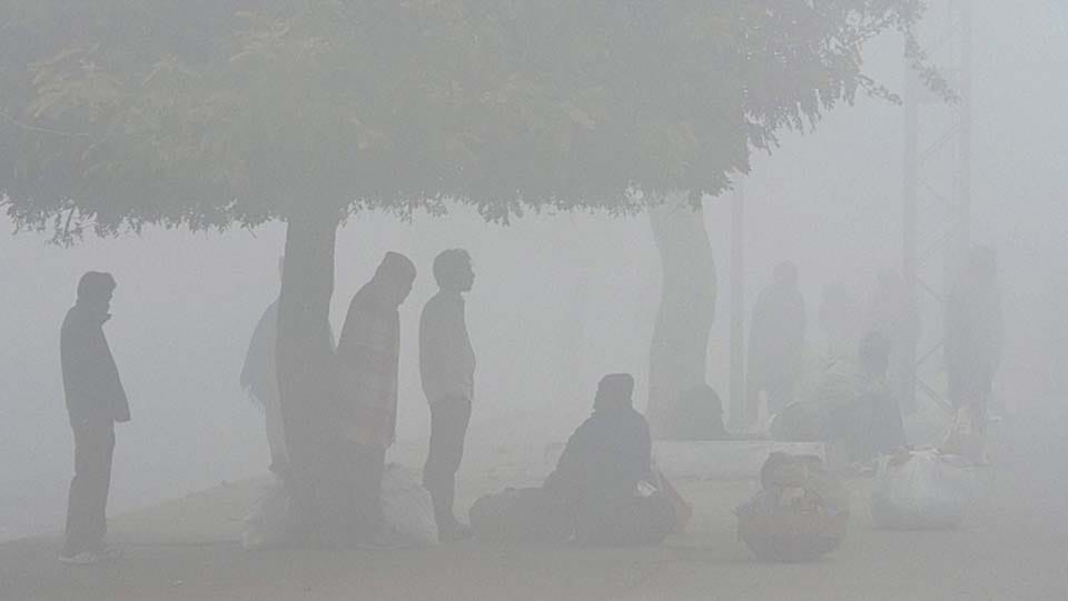 cold and fog in kanpur