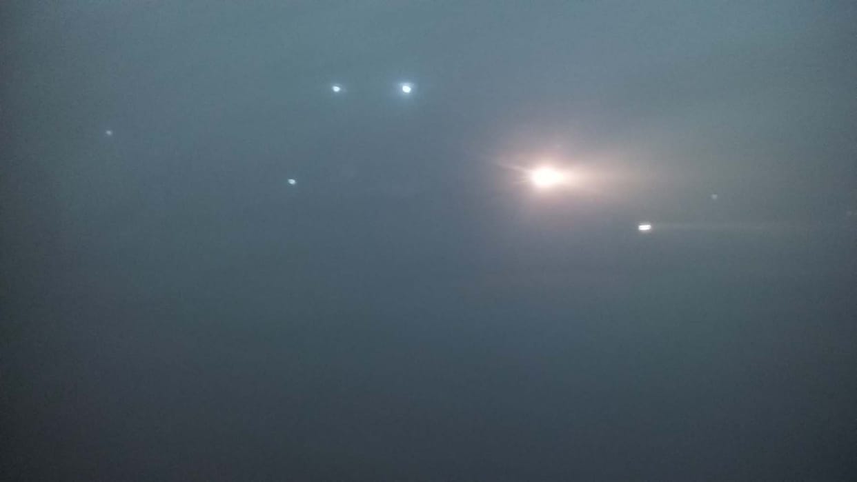 Fruit plants got burnt with fog