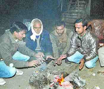 The mercury reached 9 degrees, recently suffering from rot