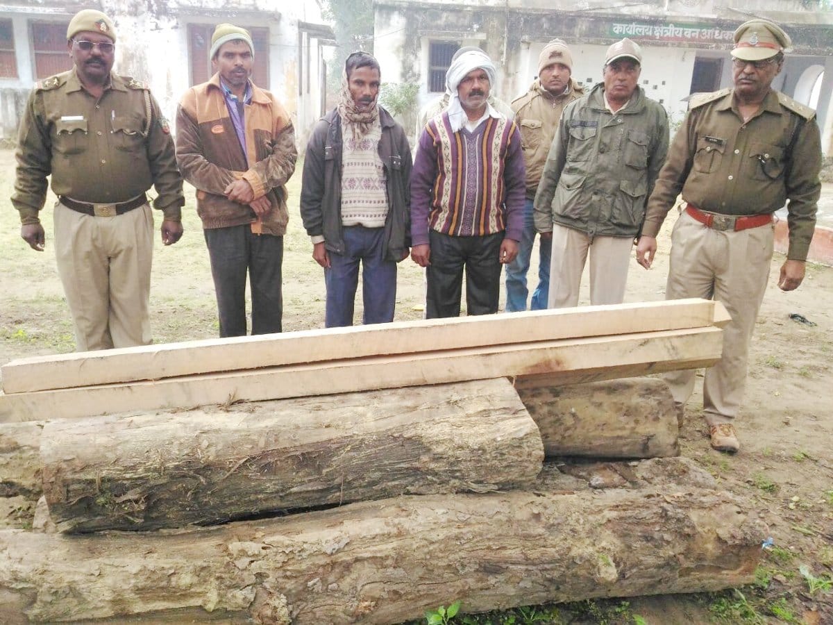stolen wood recovered, three arrested