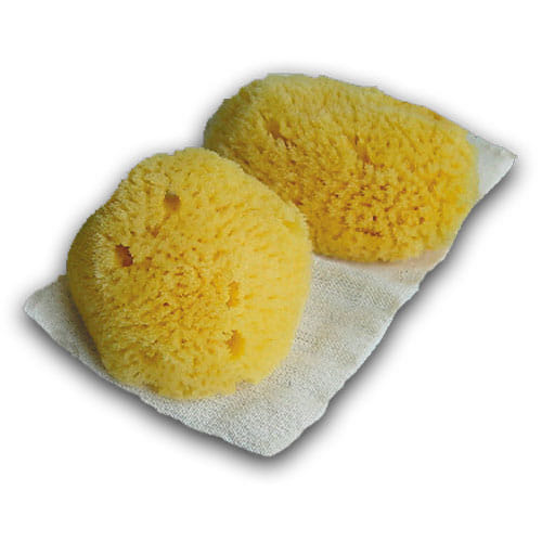 Menstrual Products Other Than Sanitary Pads