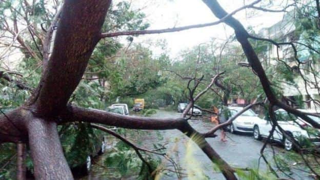 Know from where the 'Sapphire', 'Nenuphar' and the name of Varda as cyclones