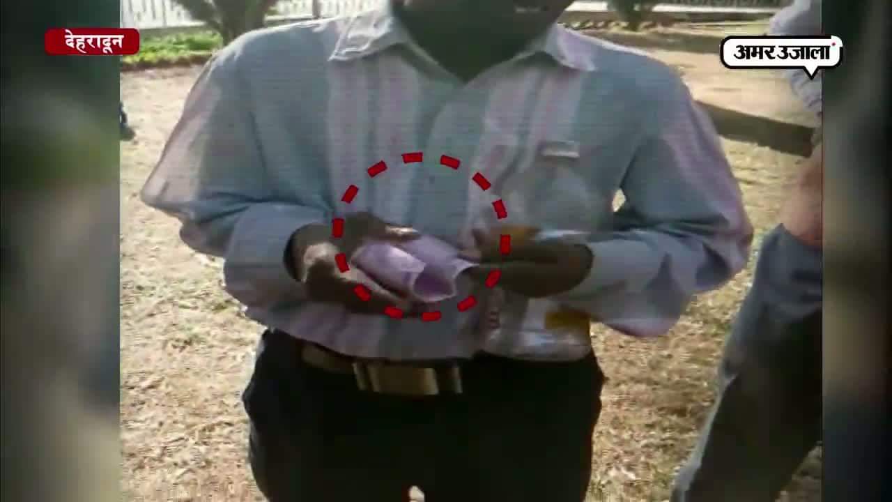 दिव्यांग पैकेज 