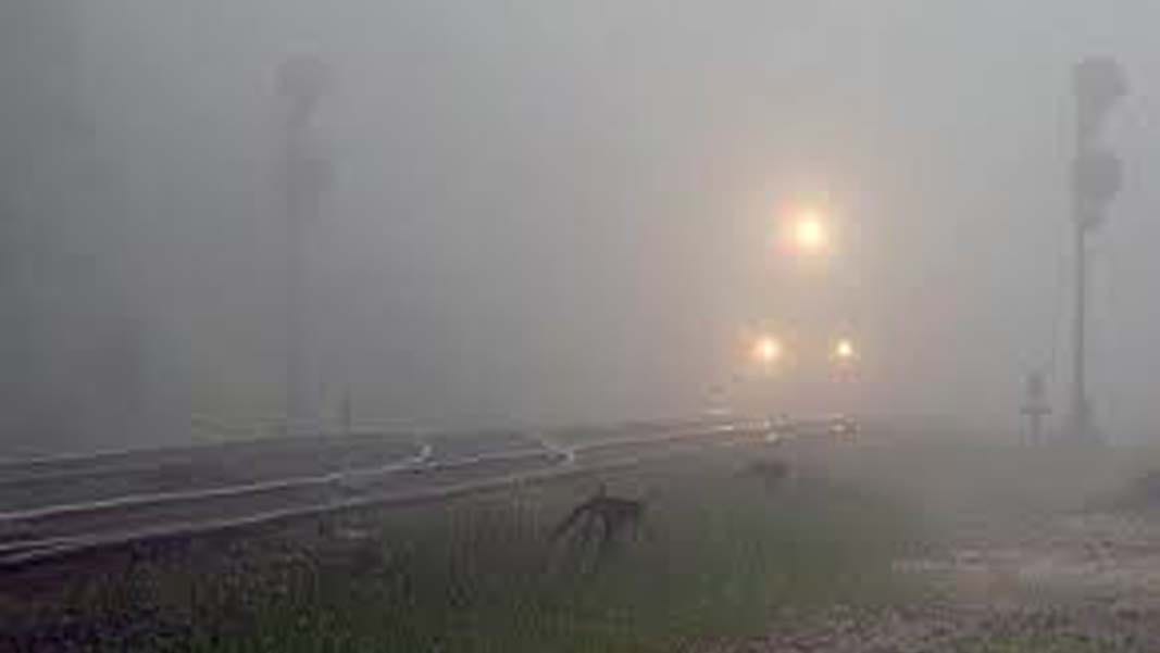 15 trains canceled on December 31 caused fog
